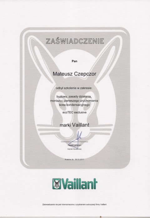 dyplom vaillant1.jpeg