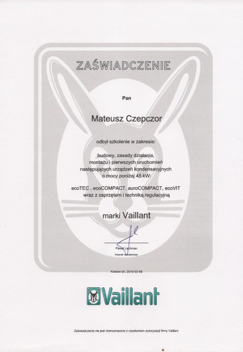 dyplom vaillant2.jpeg